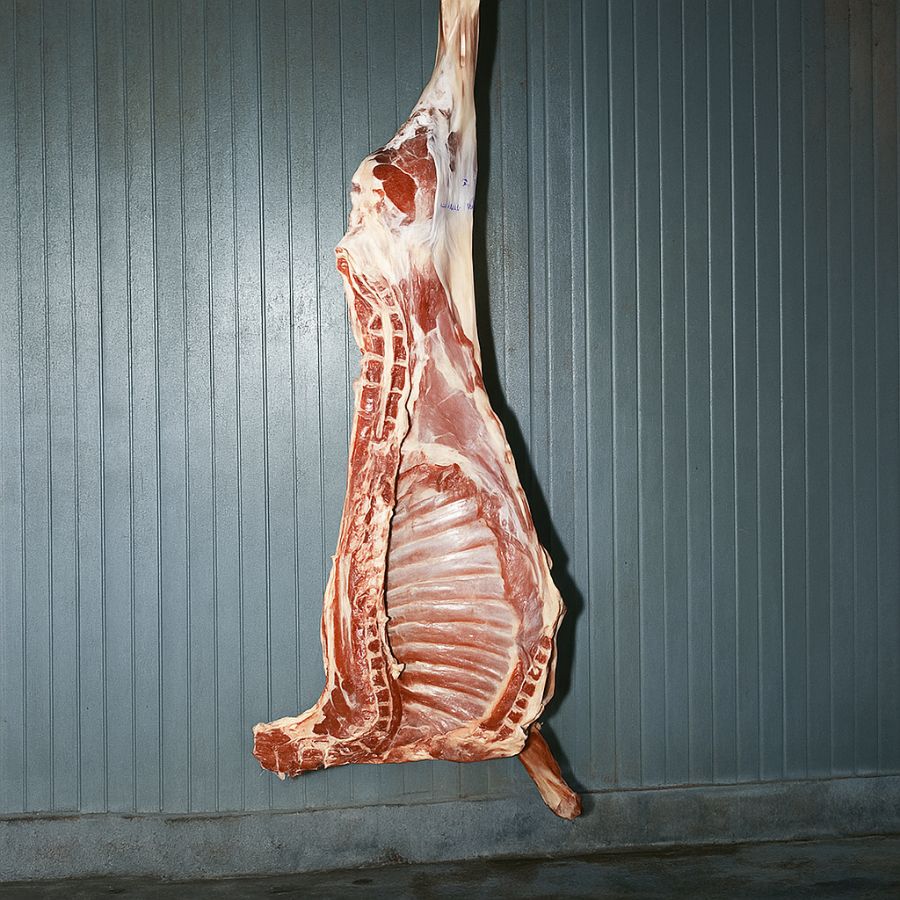 Half Goat Stew