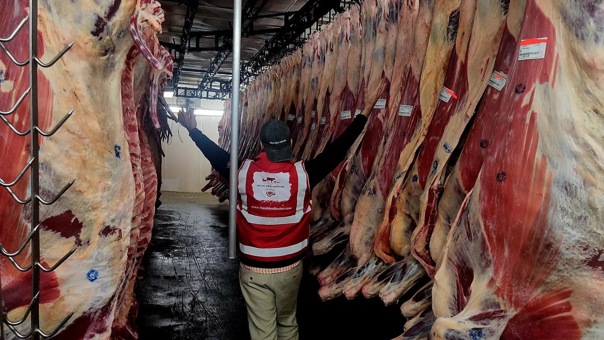 Zabiha Schedule – Fresh Halal Meat Every Week!