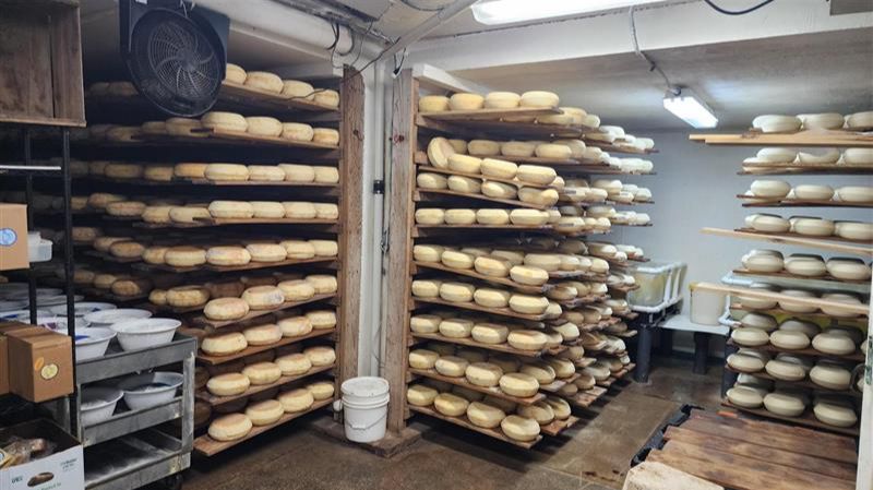 Well Aged Invierno (2 years) Wedge - Sheep-Cow mixed milk cheese