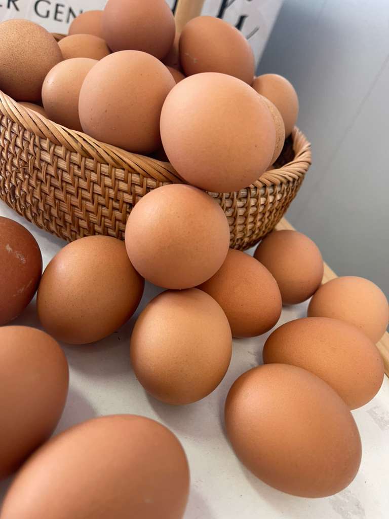 Farms Eggs
