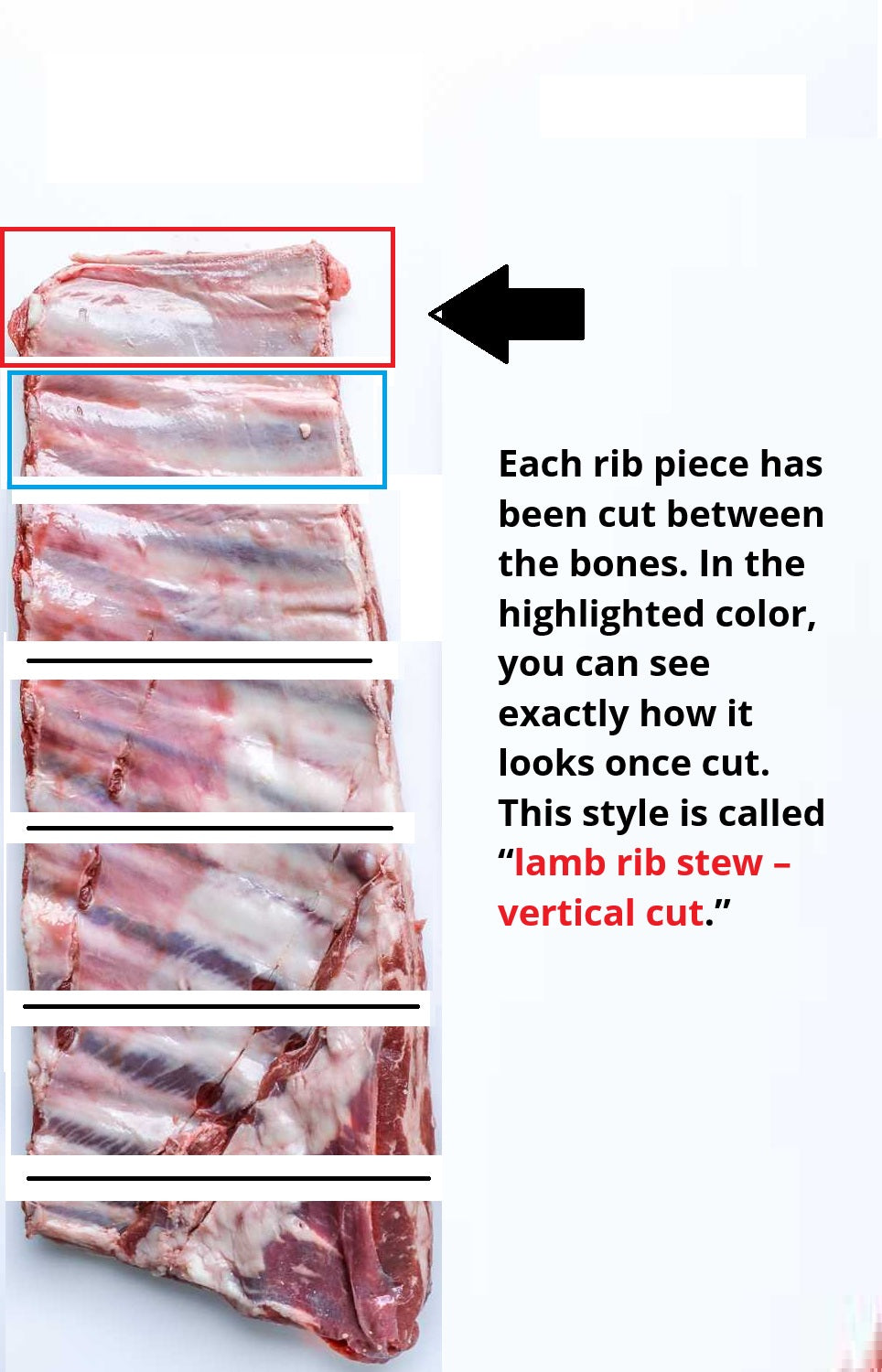 Lamb Rib Stew – Vertical Cut