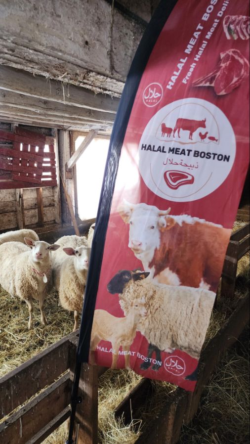 Whole Lamb (Request Now) - Deposit Required