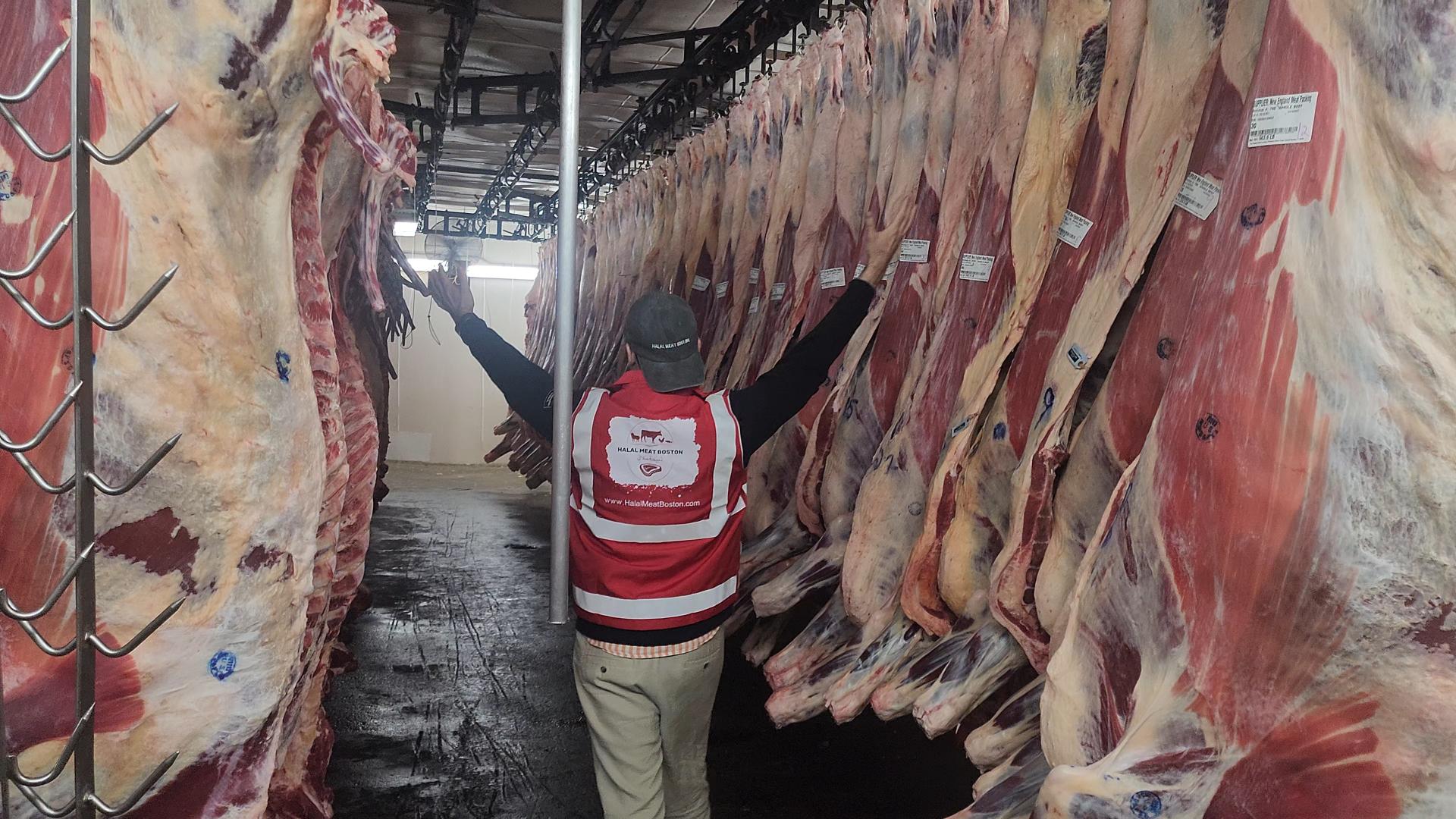 Whole/Half Cow (Request Now) - Deposit Required