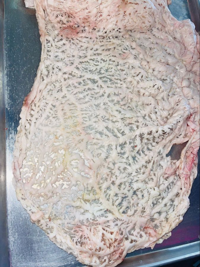 Lamb Caul fat (lmb. 5kg apprx.) - WL48372